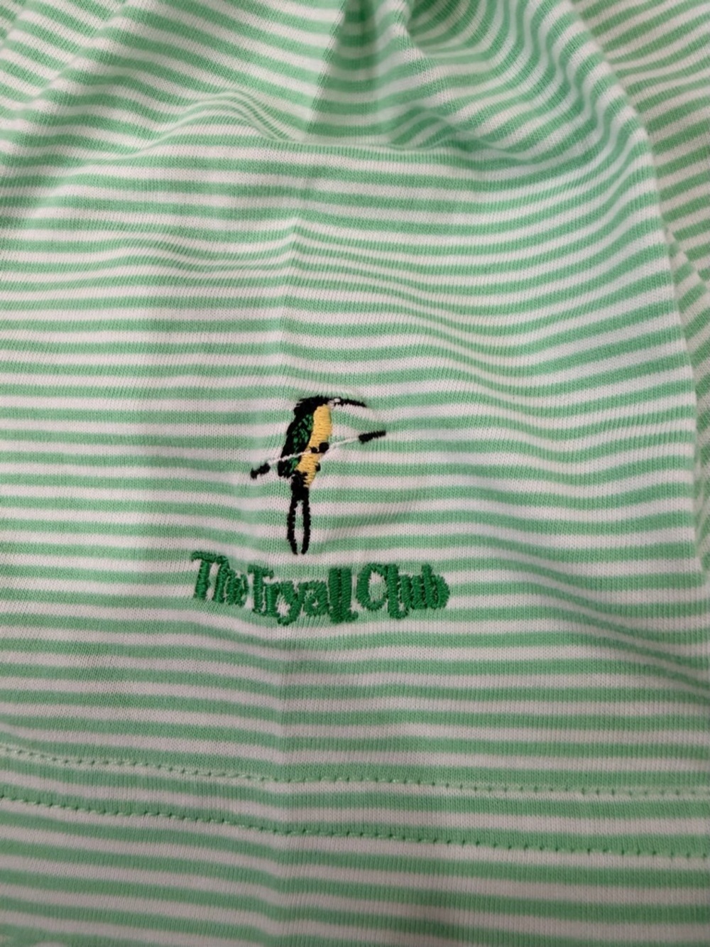 Peter Millar Light Mint Green Striped Golf Polo with Chest Pocket Size Large - Picture 8 of 8